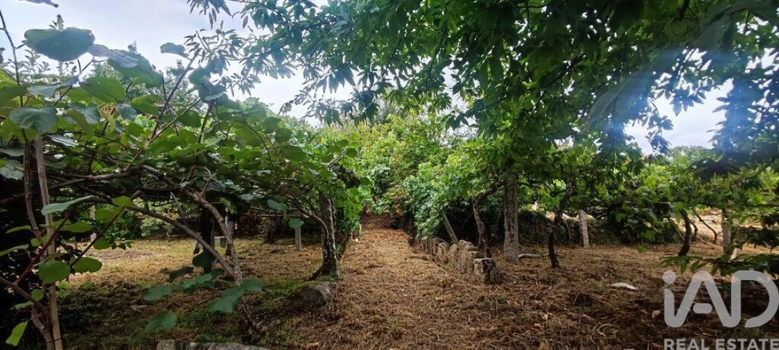 Moradia T5 para Venda em Loivo Foto 11