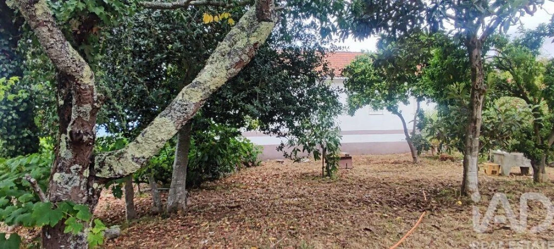 Moradia T5 para Venda em Loivo Foto 20