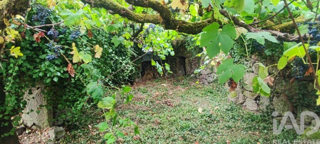 Moradia T5 para Venda em Loivo Foto 26