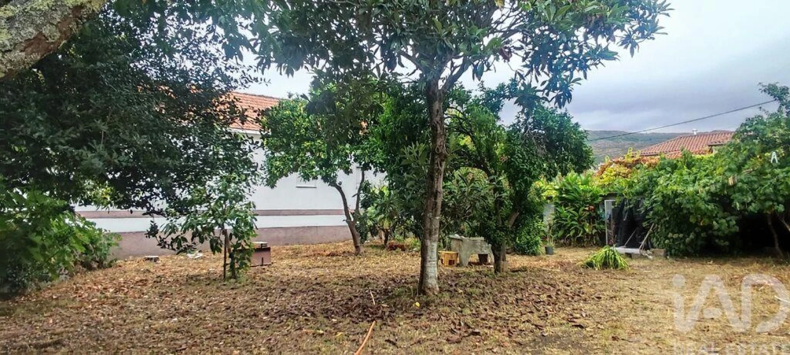 Moradia T5 para Venda em Loivo Foto 39