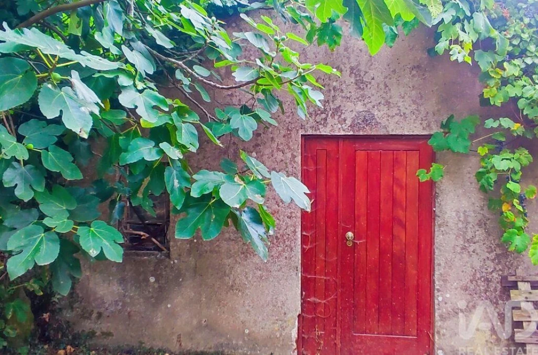 Moradia T5 para Venda em Loivo Foto 23