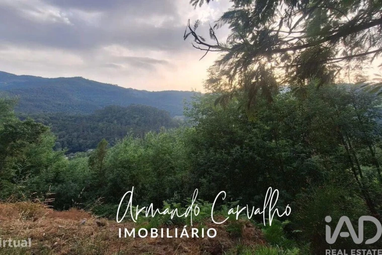 Terreno para Venda em Travanca Foto 3