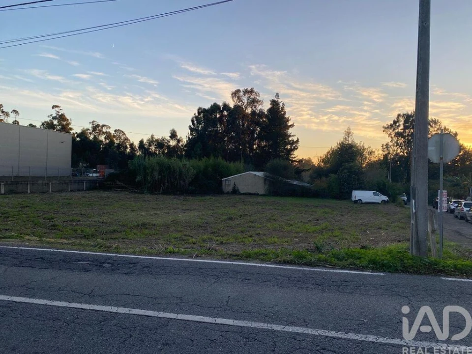 Terreno para Venda em Bustos, Troviscal e Mamarrosa Foto 5