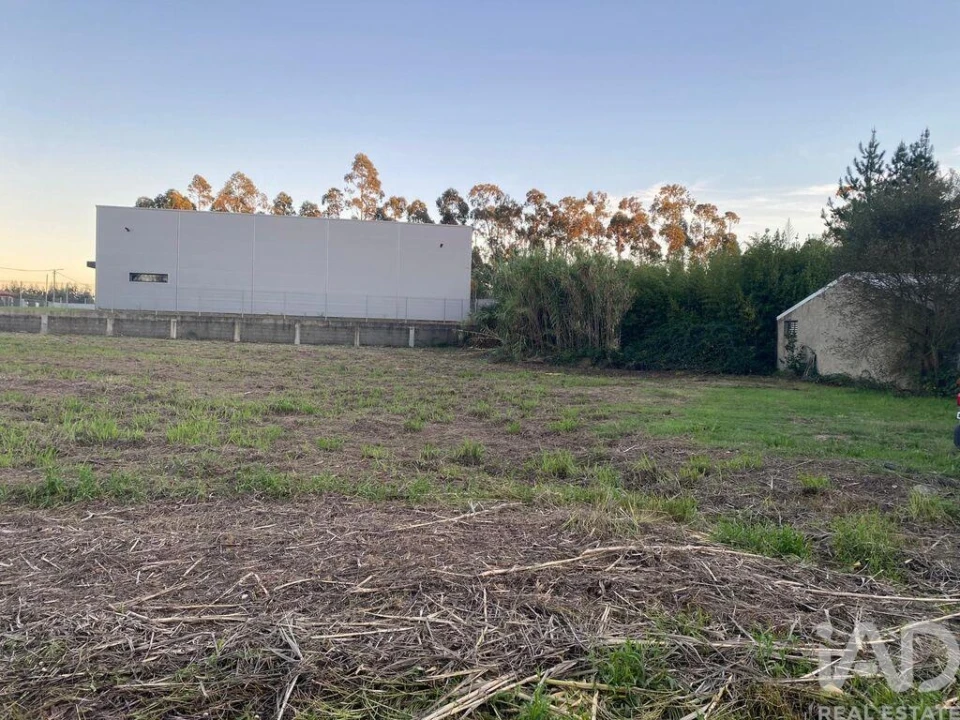 Terreno para Venda em Bustos, Troviscal e Mamarrosa Foto 3