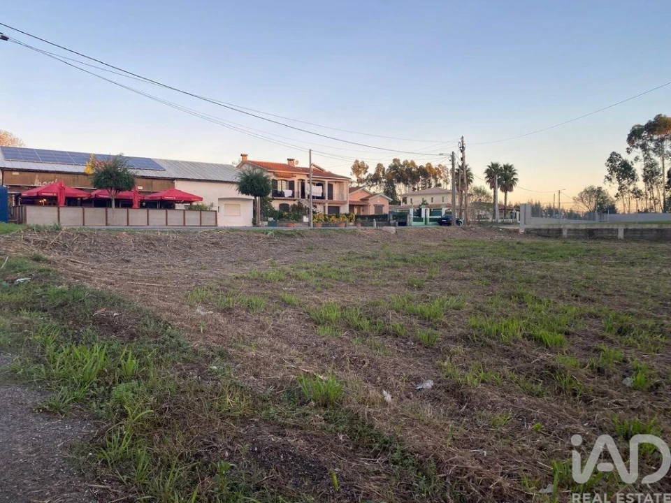Terreno para Venda em Bustos, Troviscal e Mamarrosa Foto 4