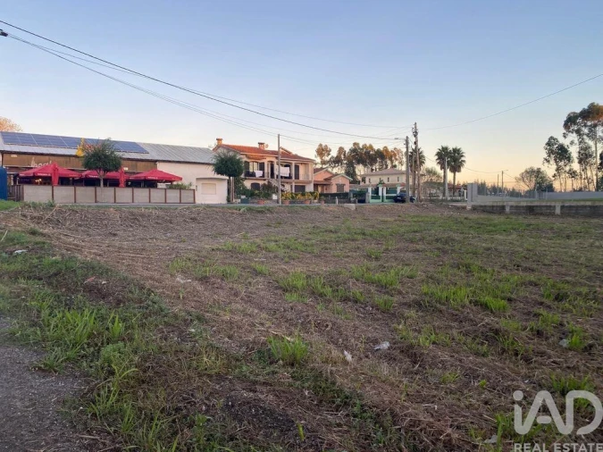 Terreno para Venda em Bustos, Troviscal e Mamarrosa Foto 4