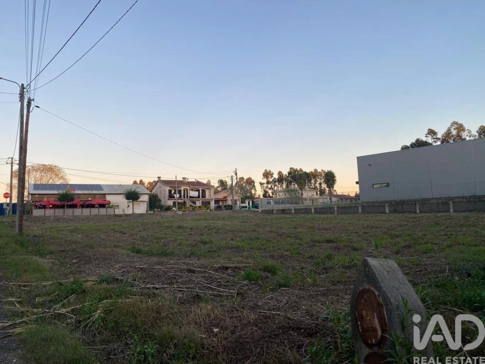Terreno para Venda em Bustos, Troviscal e Mamarrosa Foto 1