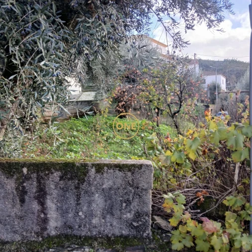 Moradia T3 para Venda em Dornelas do Zezere Foto 1