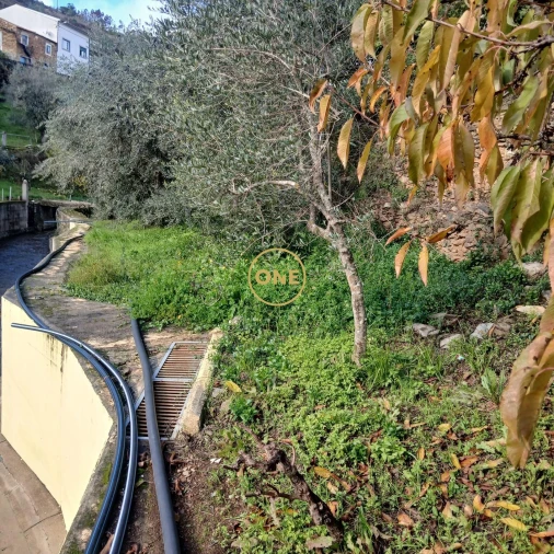 Moradia T3 para Venda em Dornelas do Zezere Foto 13