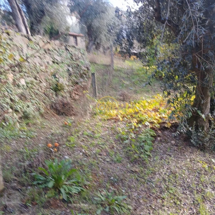 Moradia T3 para Venda em Dornelas do Zezere Foto 11