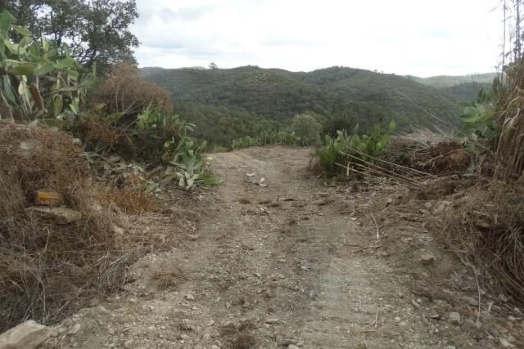 Terreno para Venda em Santana da Serra Foto 6