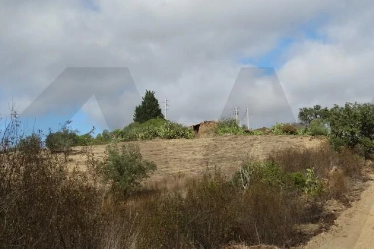 Terreno para Venda em Santana da Serra Foto 9