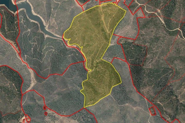 Terreno para Venda em Santana da Serra Foto 16