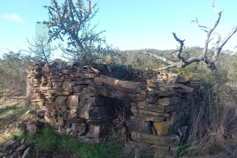 Terreno para Venda em Santana da Serra Foto 7