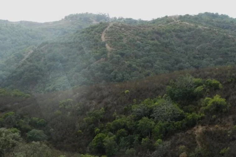 Terreno para Venda em Santana da Serra Foto 14