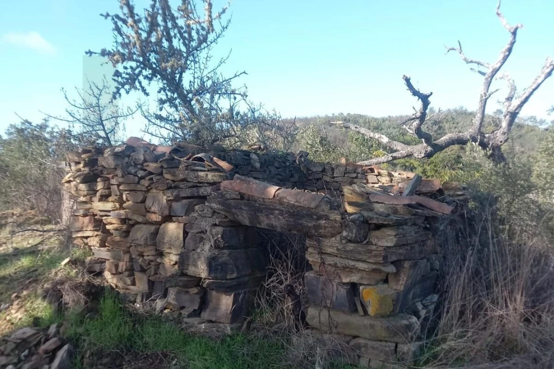 Terreno para Venda em Santana da Serra Foto 7