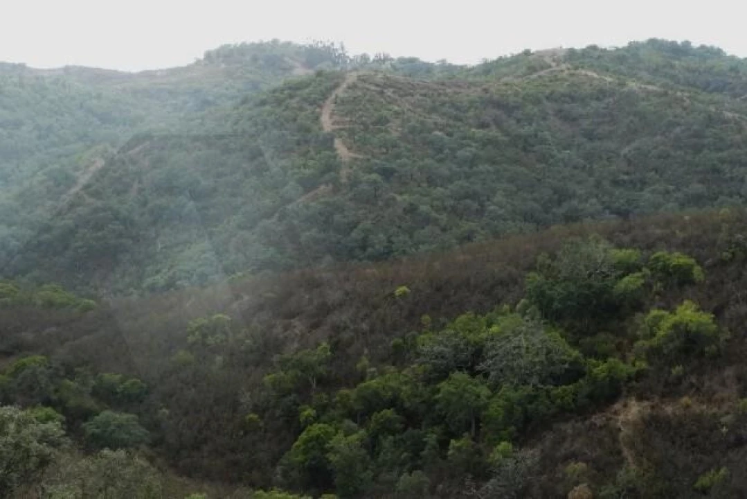 Terreno para Venda em Santana da Serra Foto 14