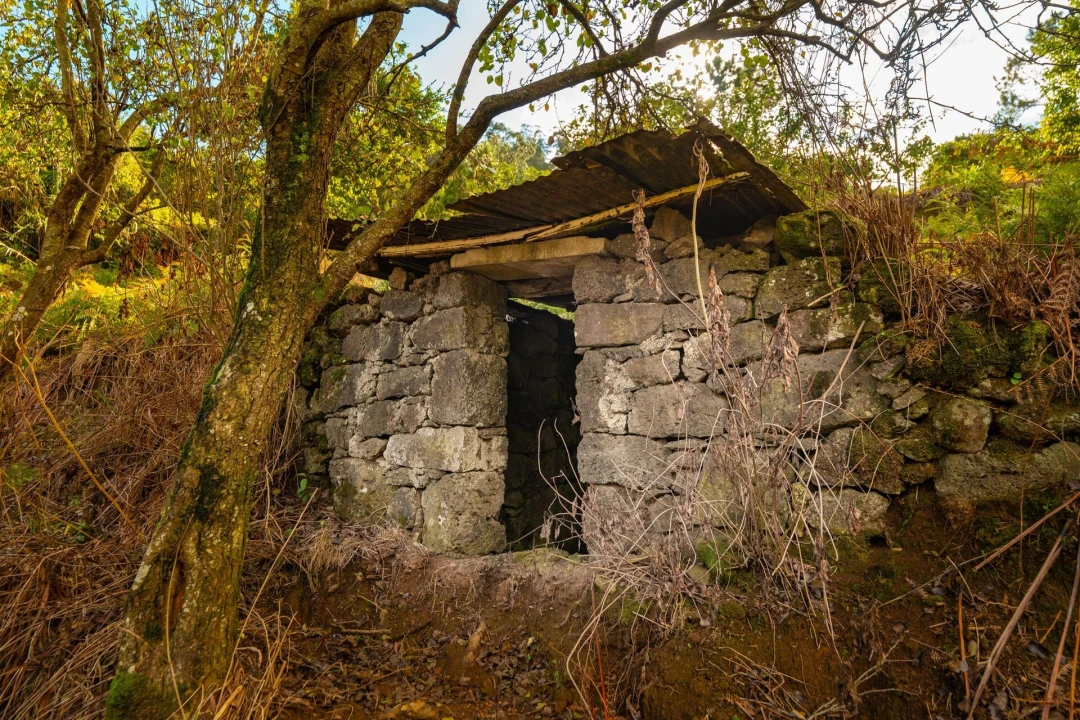Terreno para Venda em São Vicente Foto 9