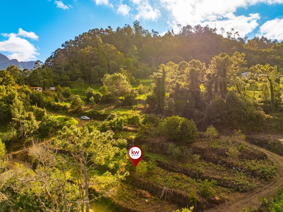 Terreno para Venda em São Vicente Foto 7