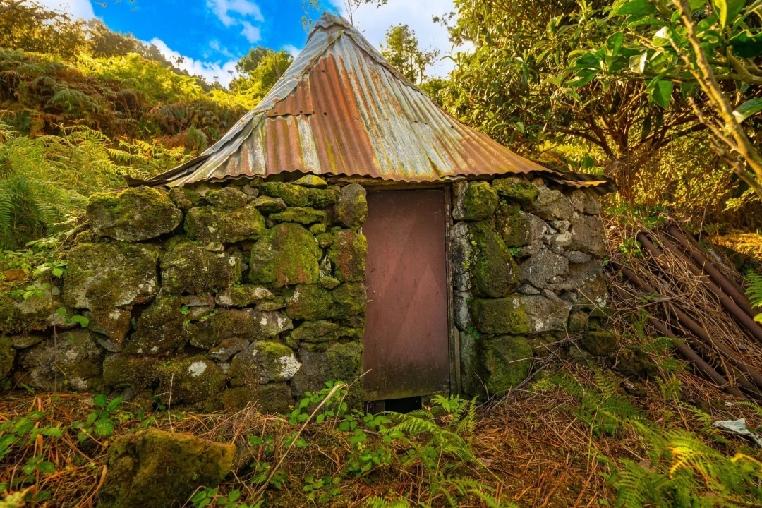 Terreno para Venda em São Vicente Foto 12
