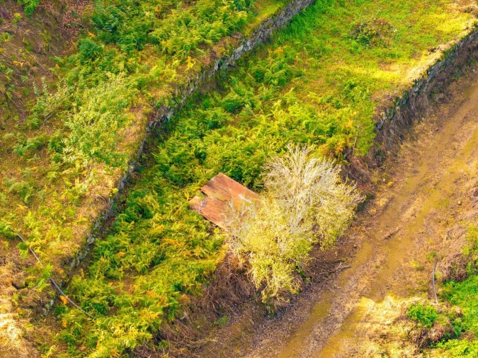Terreno para Venda em São Vicente Foto 18