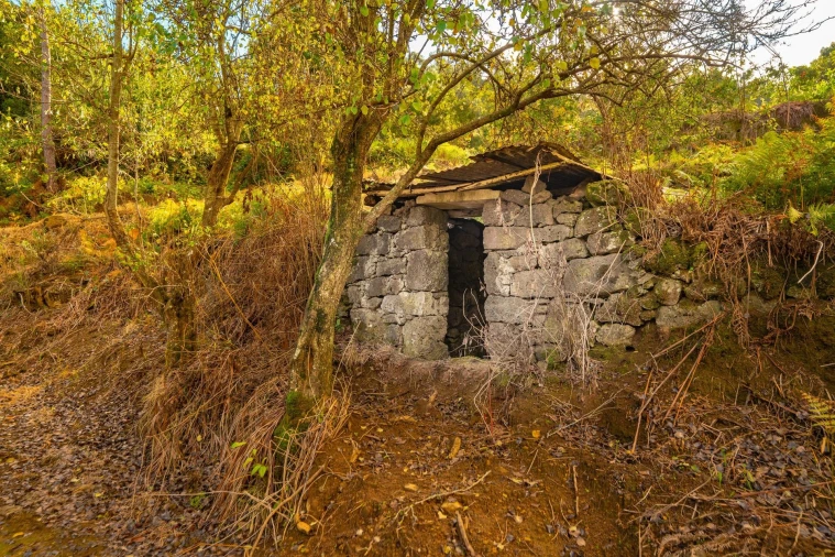 Terreno para Venda em São Vicente Foto 10