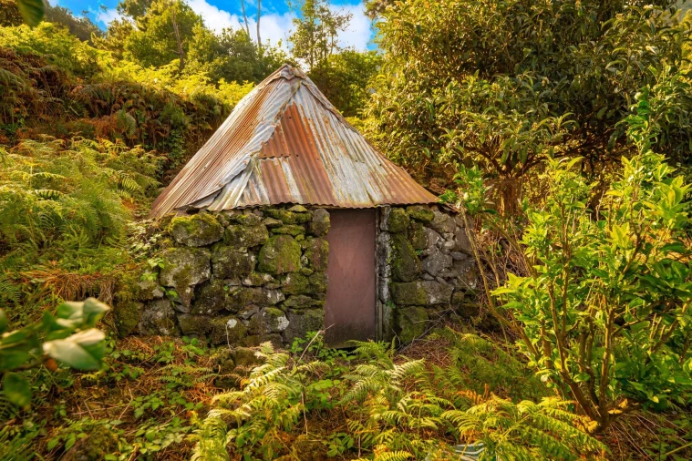 Terreno para Venda em São Vicente Foto 11