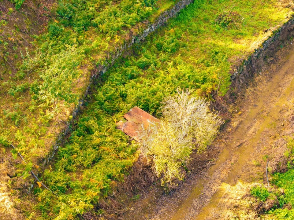 Terreno para Venda em São Vicente Foto 18
