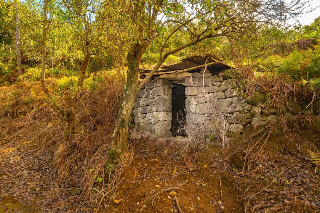 Terreno para Venda em São Vicente Foto 10