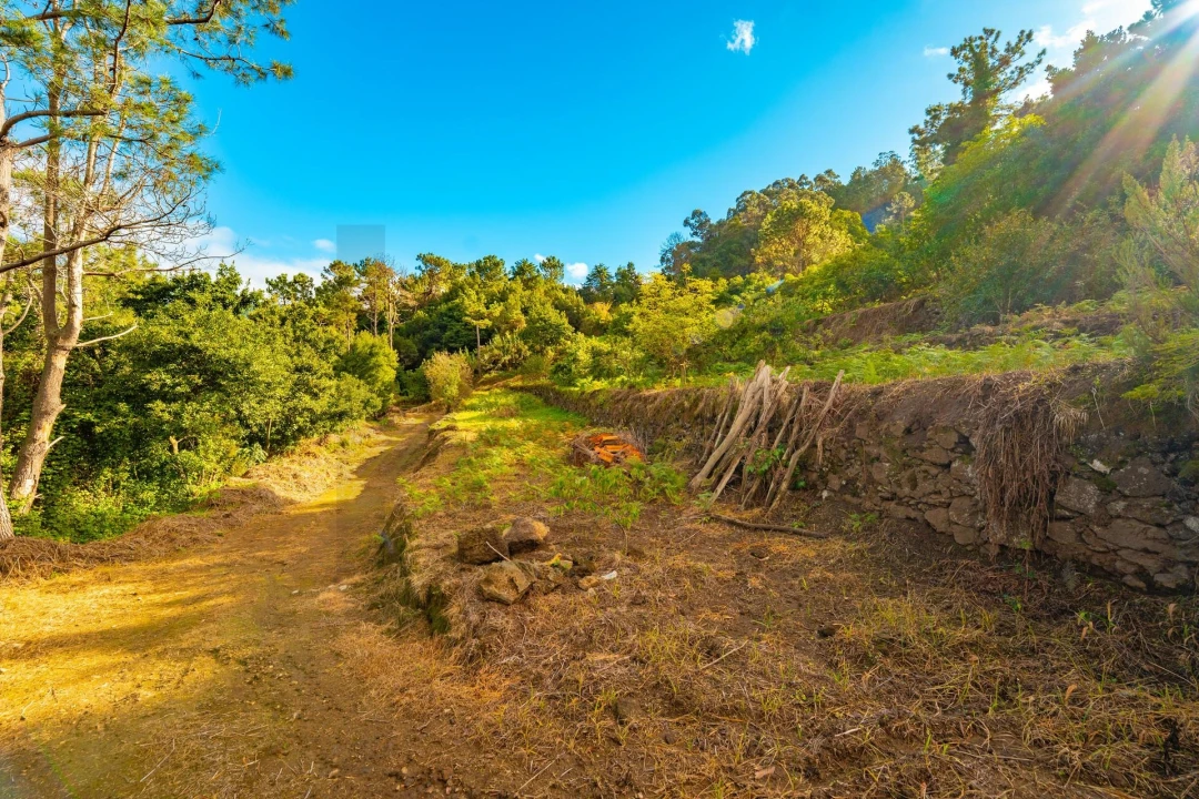 Terreno para Venda em São Vicente Foto 14