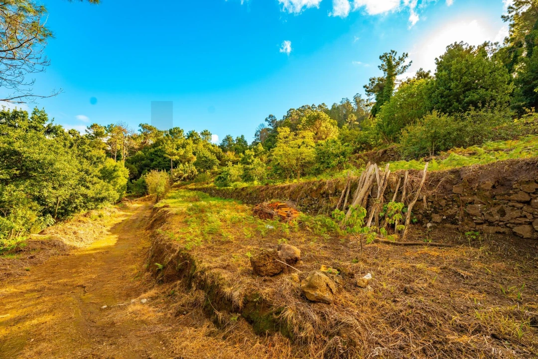 Terreno para Venda em São Vicente Foto 13