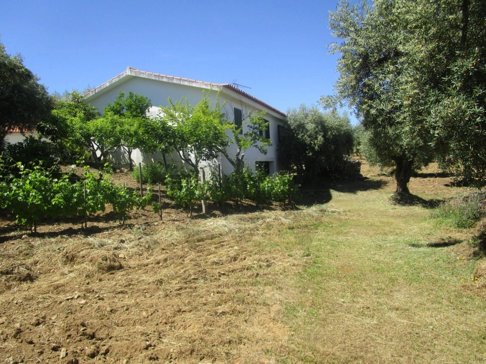 Moradia T5 para Venda em Chacim Foto 72