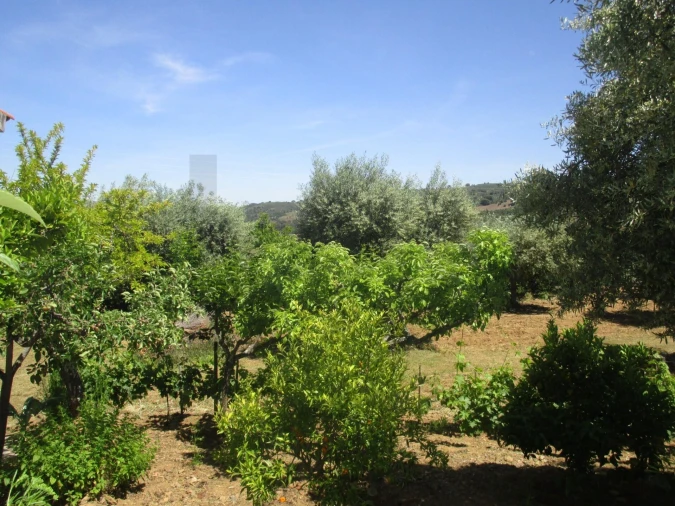 Moradia T5 para Venda em Chacim Foto 24