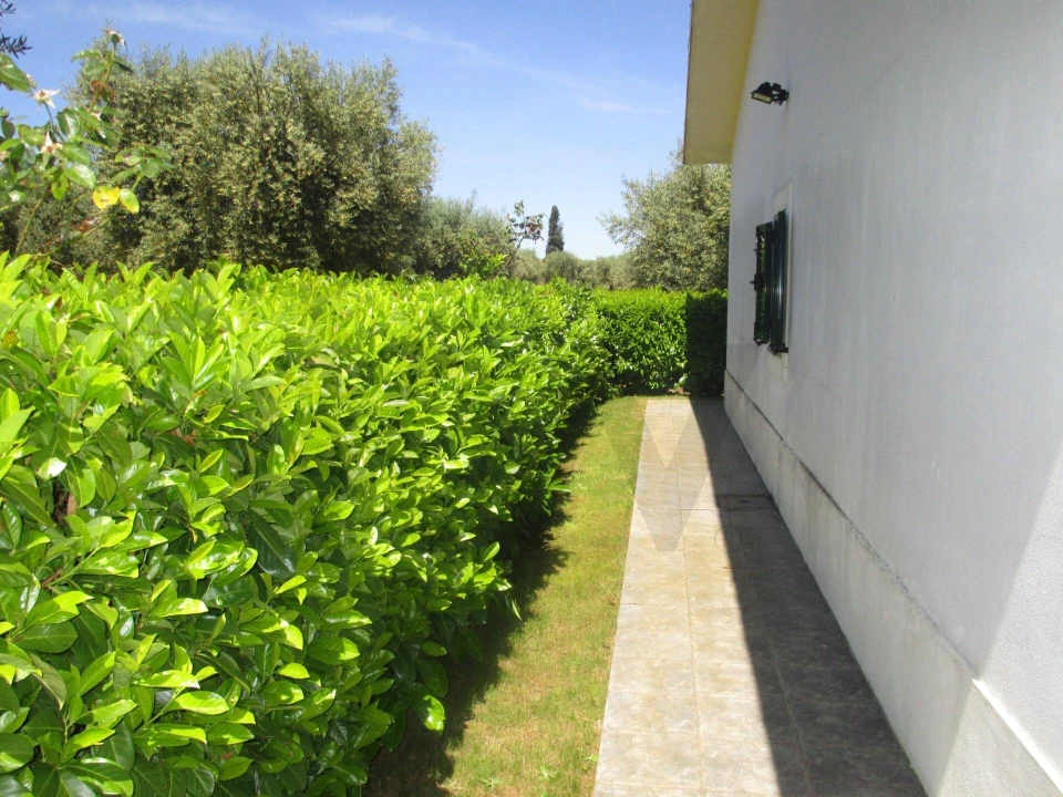 Moradia T5 para Venda em Chacim Foto 25