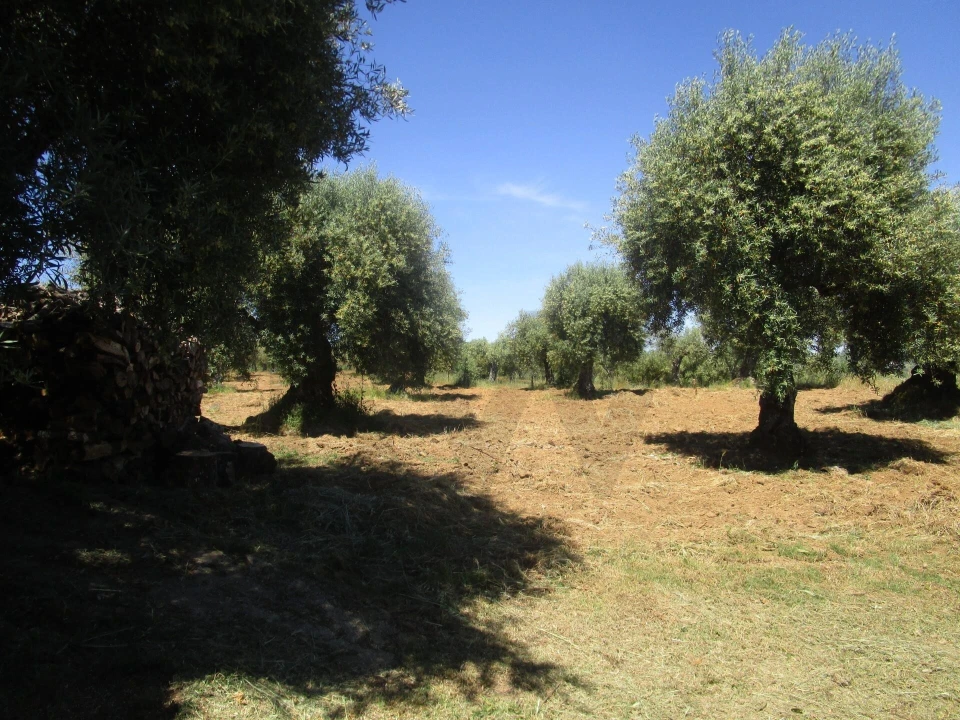 Moradia T5 para Venda em Chacim Foto 67