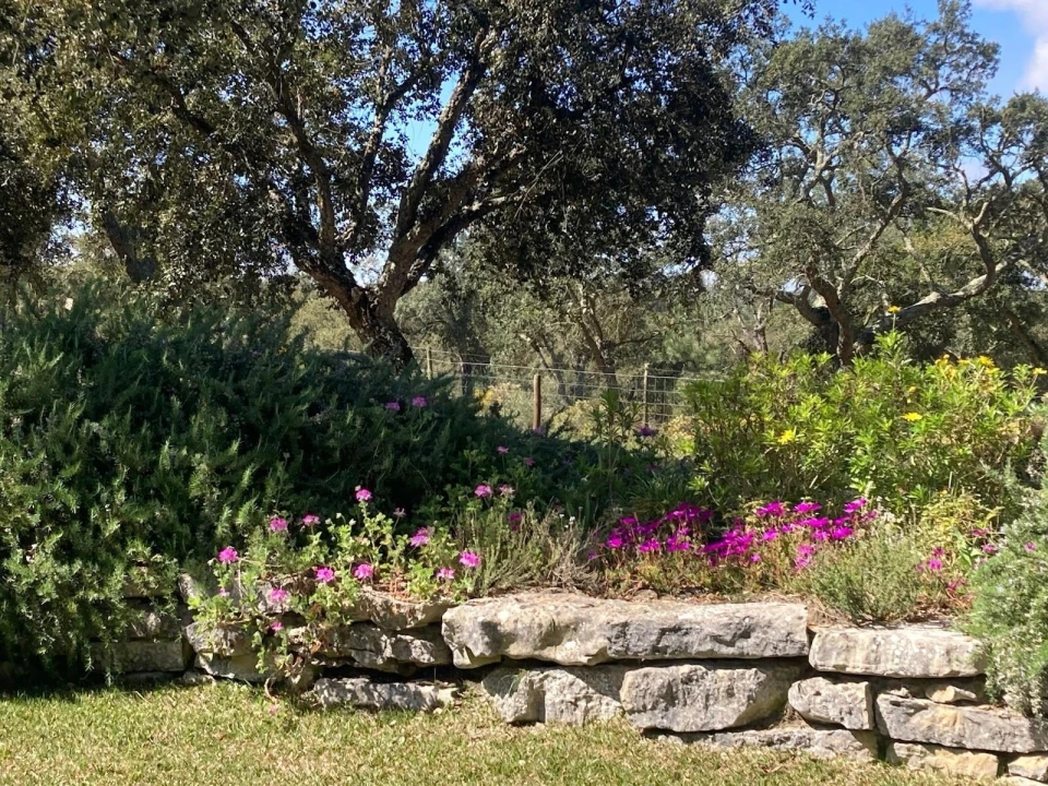 Moradia T4 para Venda em Azeitão (São Lourenço e São Simão) Foto 54