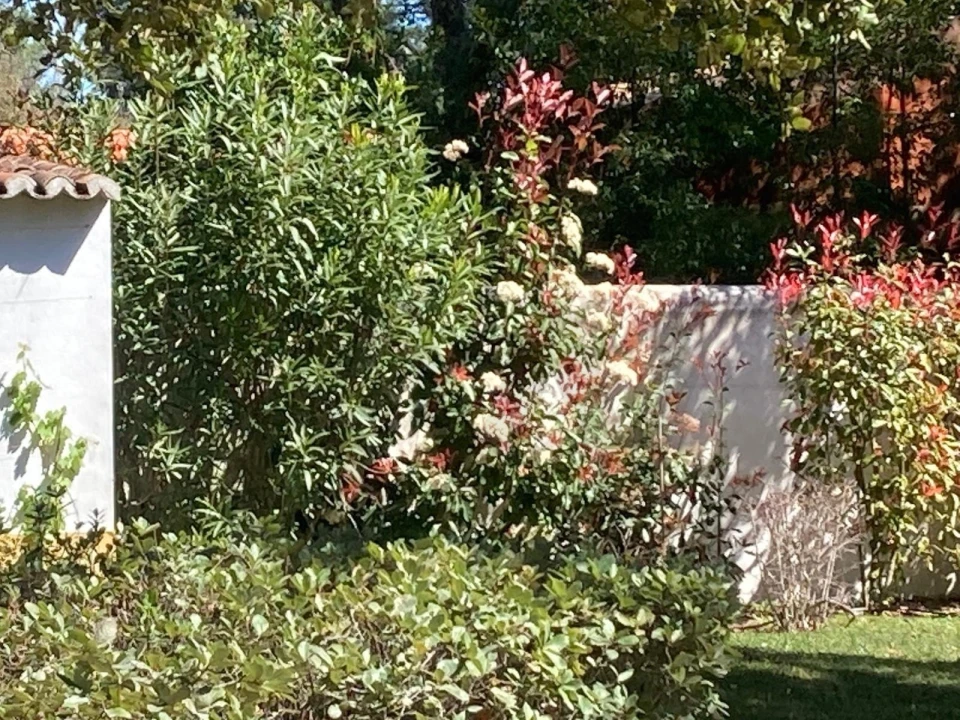 Moradia T4 para Venda em Azeitão (São Lourenço e São Simão) Foto 53