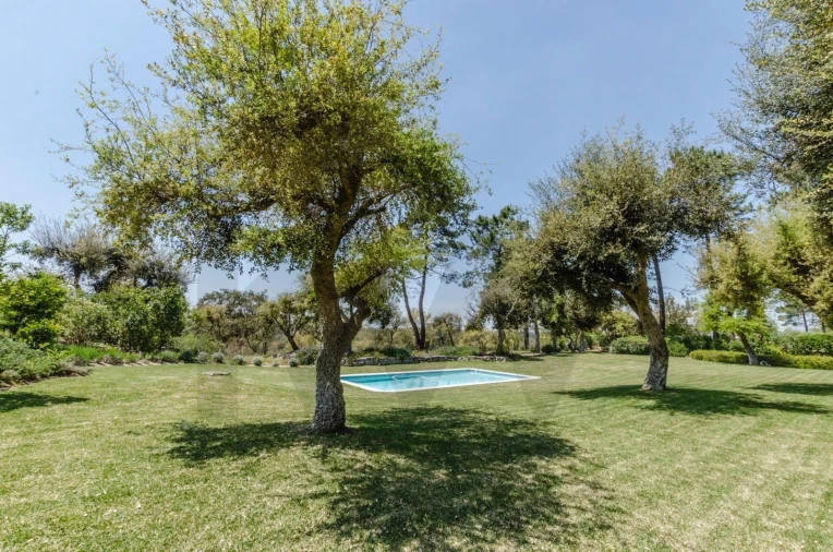 Moradia T4 para Venda em Azeitão (São Lourenço e São Simão) Foto 42