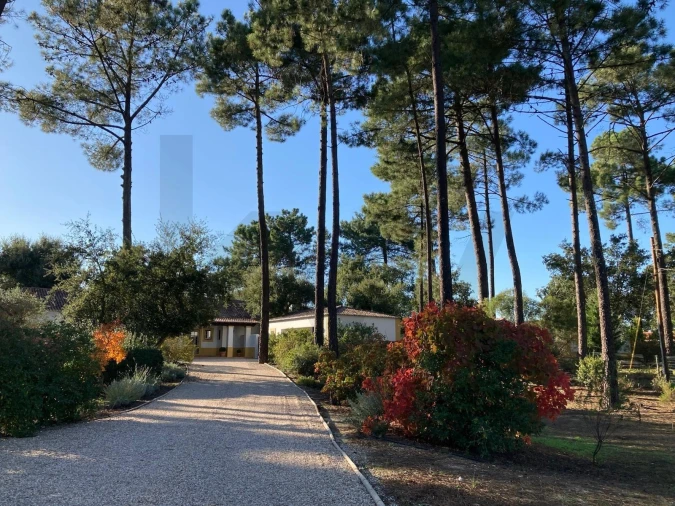 Moradia T4 para Venda em Azeitão (São Lourenço e São Simão) Foto 52