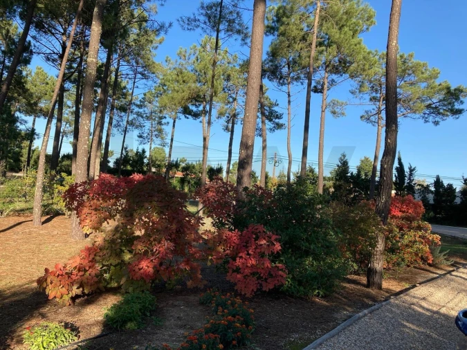 Moradia T4 para Venda em Azeitão (São Lourenço e São Simão) Foto 51