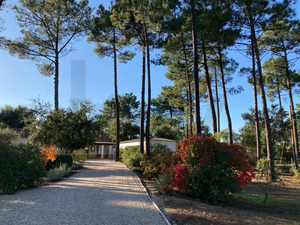 Moradia T4 para Venda em Azeitão (São Lourenço e São Simão) Foto 52