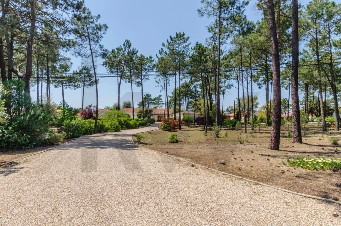 Moradia T4 para Venda em Azeitão (São Lourenço e São Simão) Foto 39