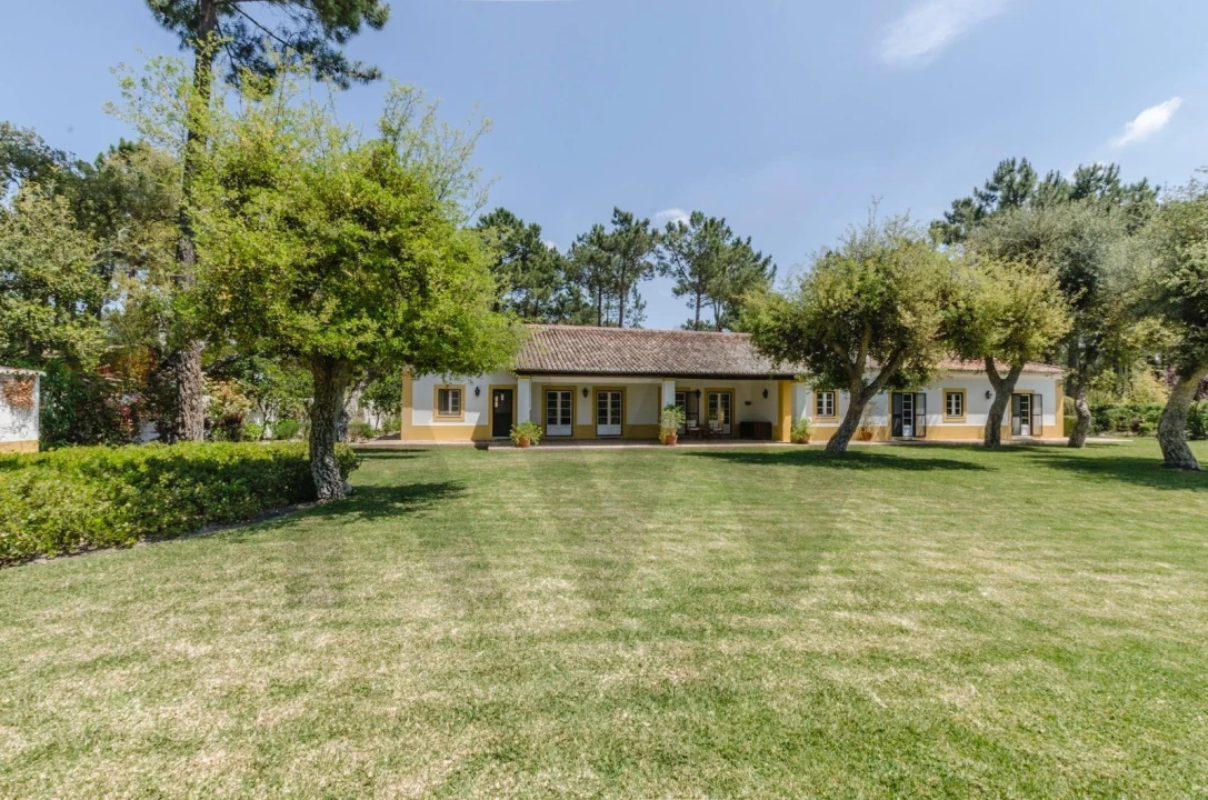 Moradia T4 para Venda em Azeitão (São Lourenço e São Simão) Foto 34