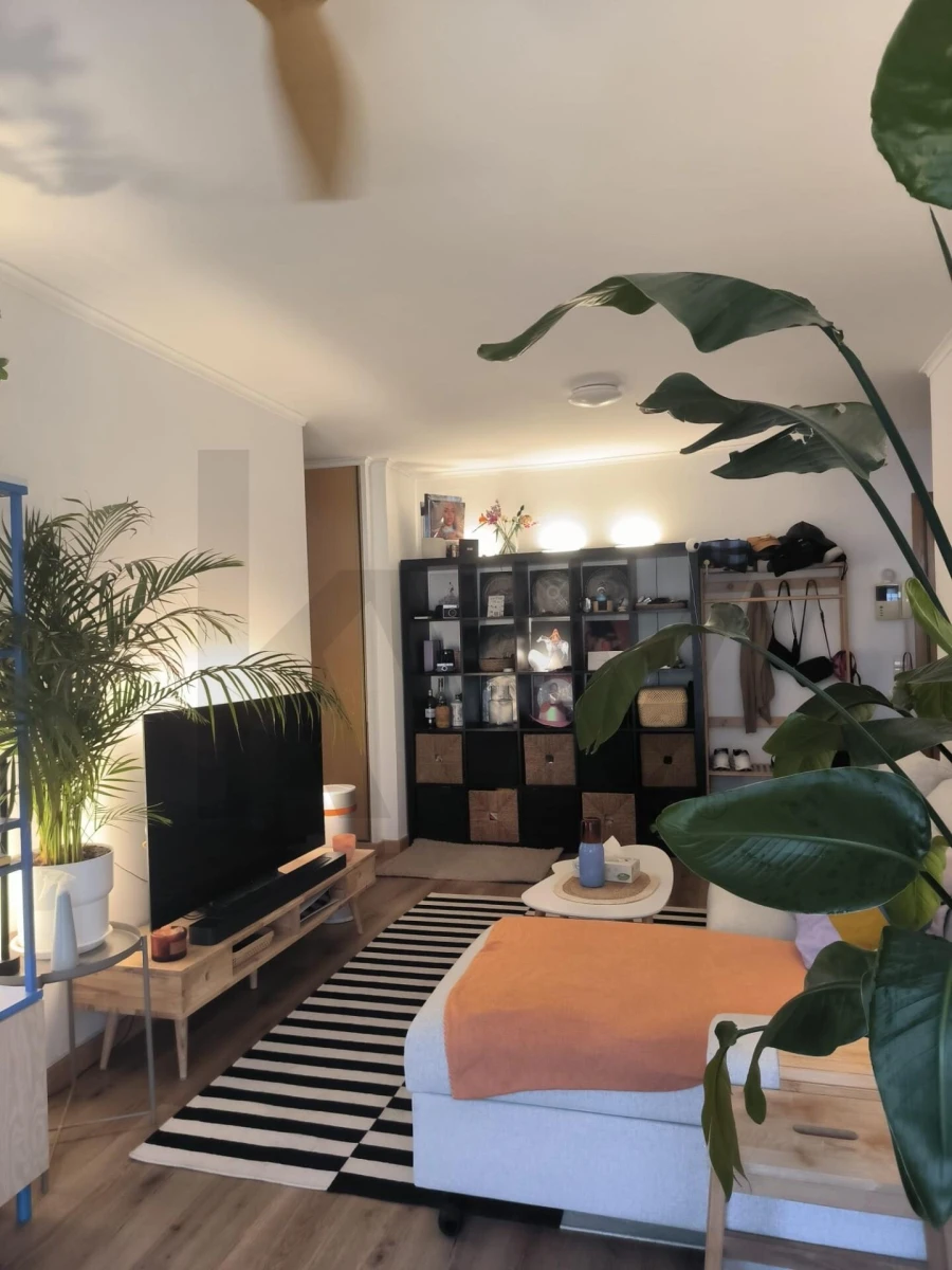 Apartamento T1 para Arrendamento em Penha de França Foto 3