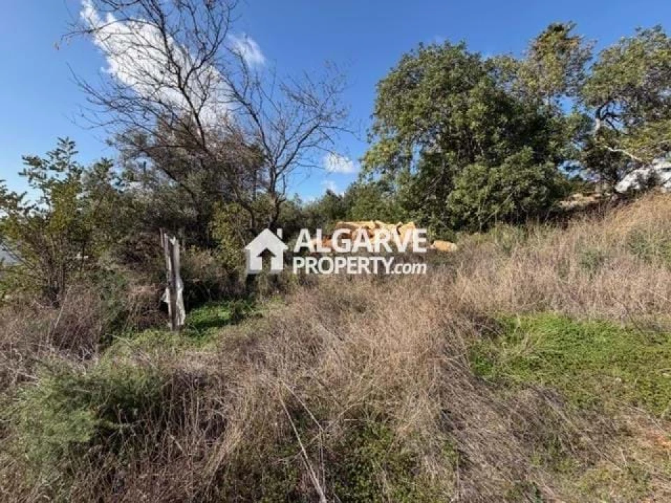 Terreno para Venda em Santa Barbara de Nexe Foto 4