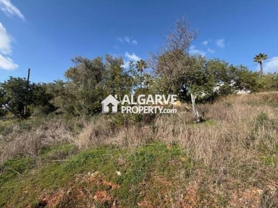 Terreno para Venda em Santa Barbara de Nexe Foto 8