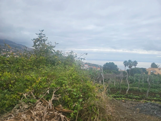 Moradia T2 para Venda em Estreito da Calheta Foto 9