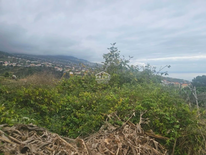 Moradia T2 para Venda em Estreito da Calheta Foto 7