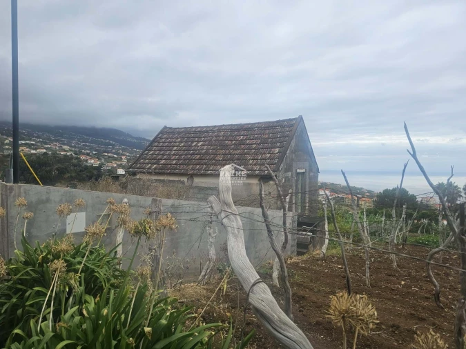 Moradia T2 para Venda em Estreito da Calheta Foto 3