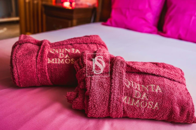 Quinta T5 para Venda em Ventosa e Cova Foto 56